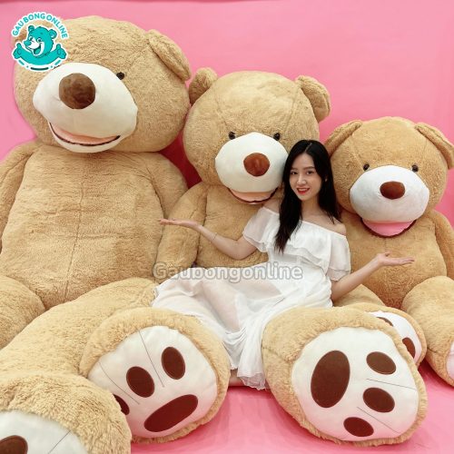 Gấu Bông Teddy Cosco