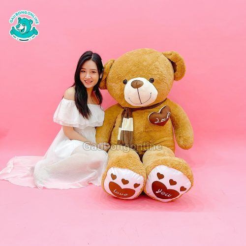 Gấu Bông Teddy Khăn Tim Màu
