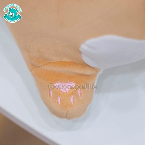 Mèo Tam Thể Bông Nằm