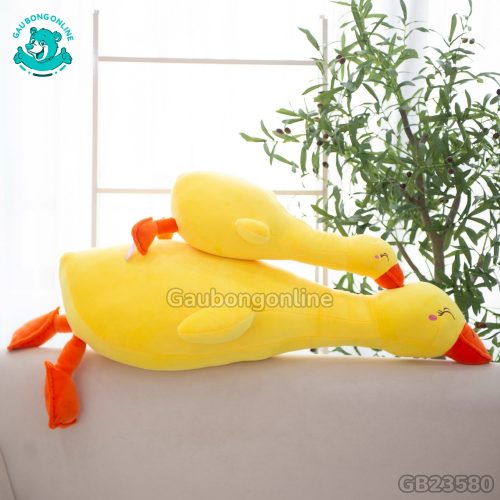 Vịt Bông Vàng Nằm