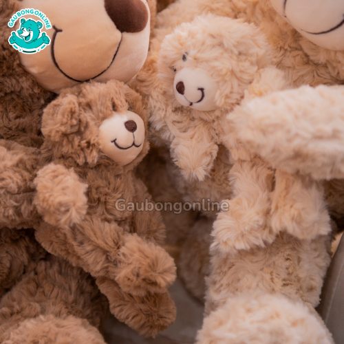 Gấu Bông Teddy Ôm Teddy