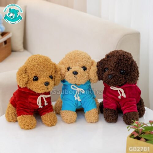 Chó Xù Mặc Áo Nỉ Nơ đa dạng mẫu dễ thương