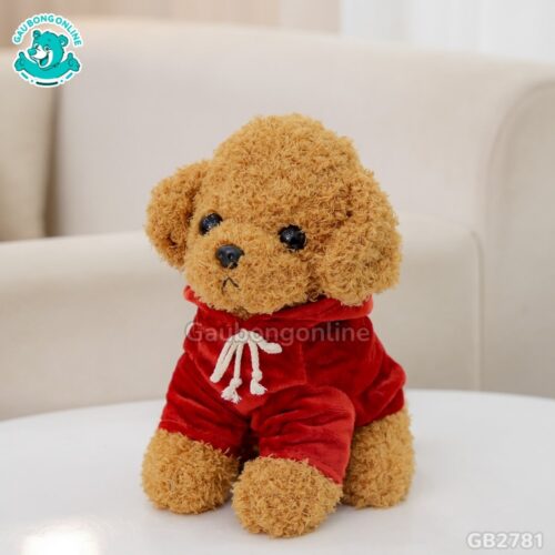 Chó Xù Mặc Áo Nỉ Nơ – Vàng