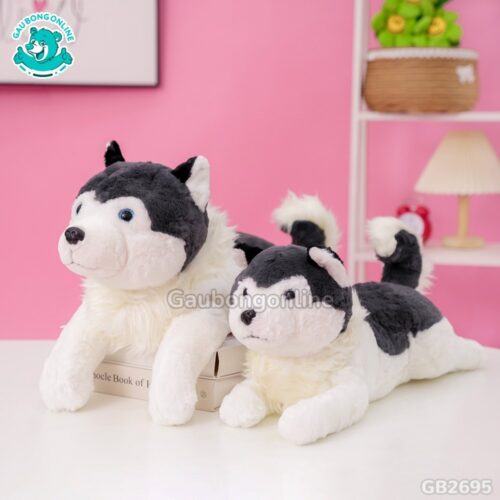Chó Husky Cổ Lông Nằm đa dạng kích thước