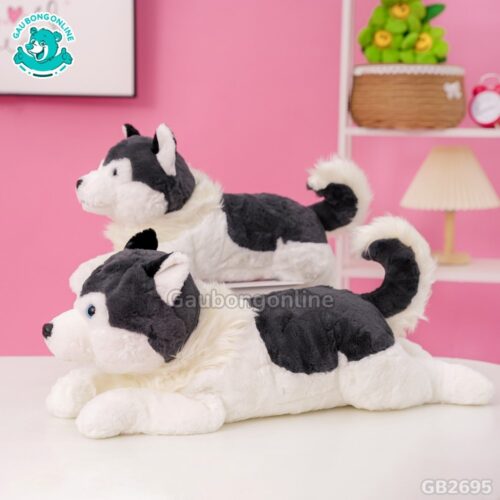 Chó Husky Cổ Lông Nằm mềm mại khi ôm