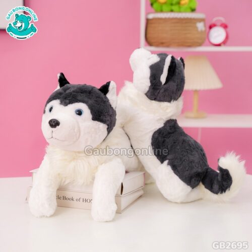 Chó Husky Cổ Lông Nằm sở hữu bộ lông mềm mại