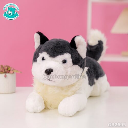 Chó Husky Cổ Lông Nằm ngộ nghĩnh