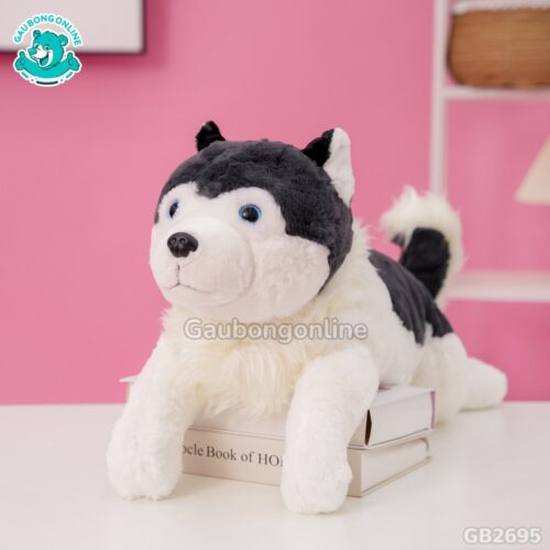 Chó Husky Cổ Lông Nằm đáng yêu