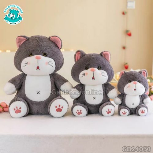Mèo Bông Bụng Chữ X