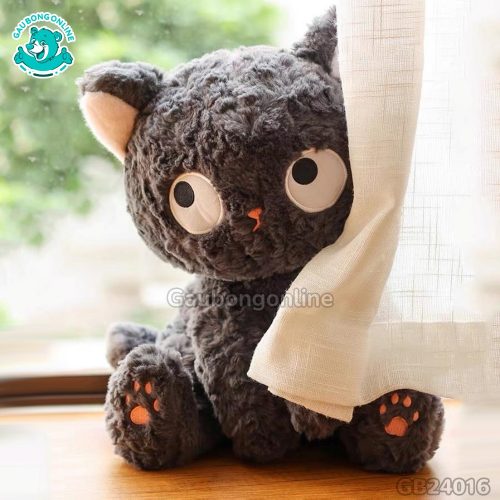 Mèo Bông Đen Mắt Liếc