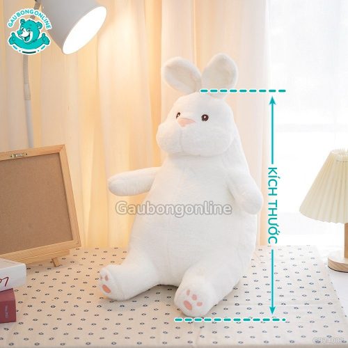 Thỏ Bông Trắng Bụng Bự