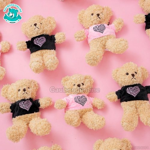 Gấu Bông Teddy MonPink