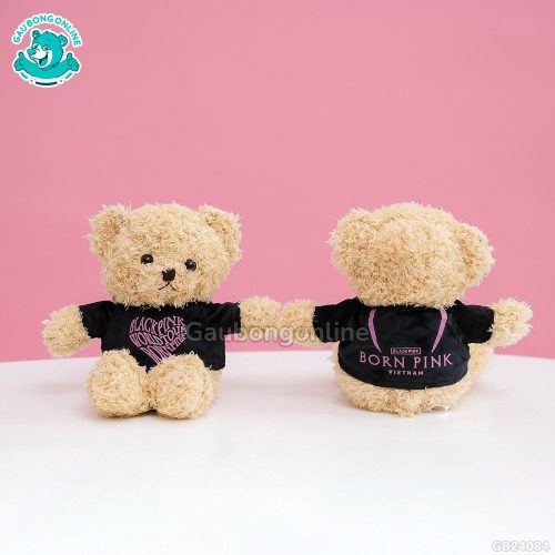 Gấu Bông Teddy MonPink