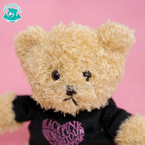 Gấu Bông Teddy MonPink