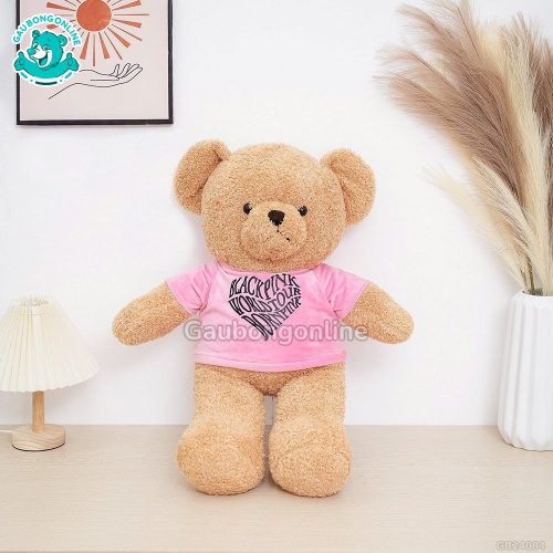 Gấu Bông Teddy MonPink Nhỏ