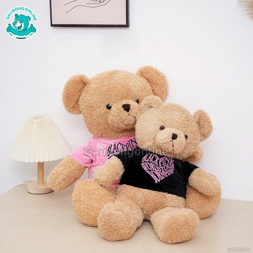 Gấu Bông Teddy MonPink Nhỏ