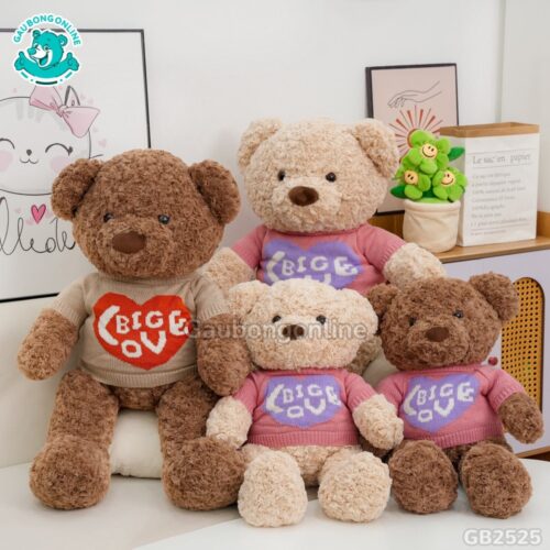Gấu Bông Teddy Áo Big Love