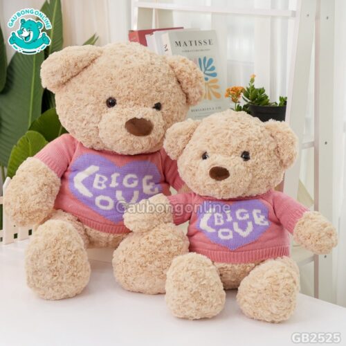 Gấu Bông Teddy Áo Big Love