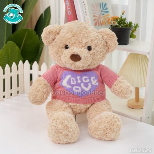 Gấu Bông Teddy Áo Big Love