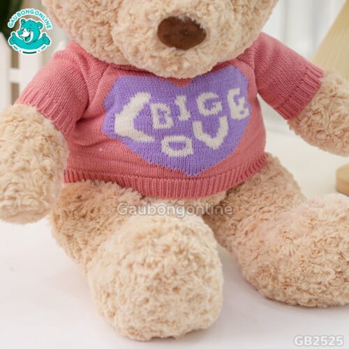Gấu Bông Teddy Áo Big Love