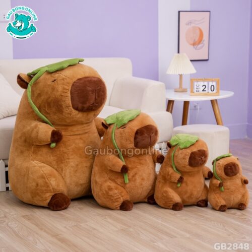 Capybara Cầm Lá đa dạng kích thước