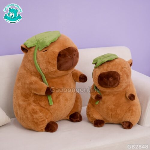 Capybara Cầm Lá mềm mại, dễ thương