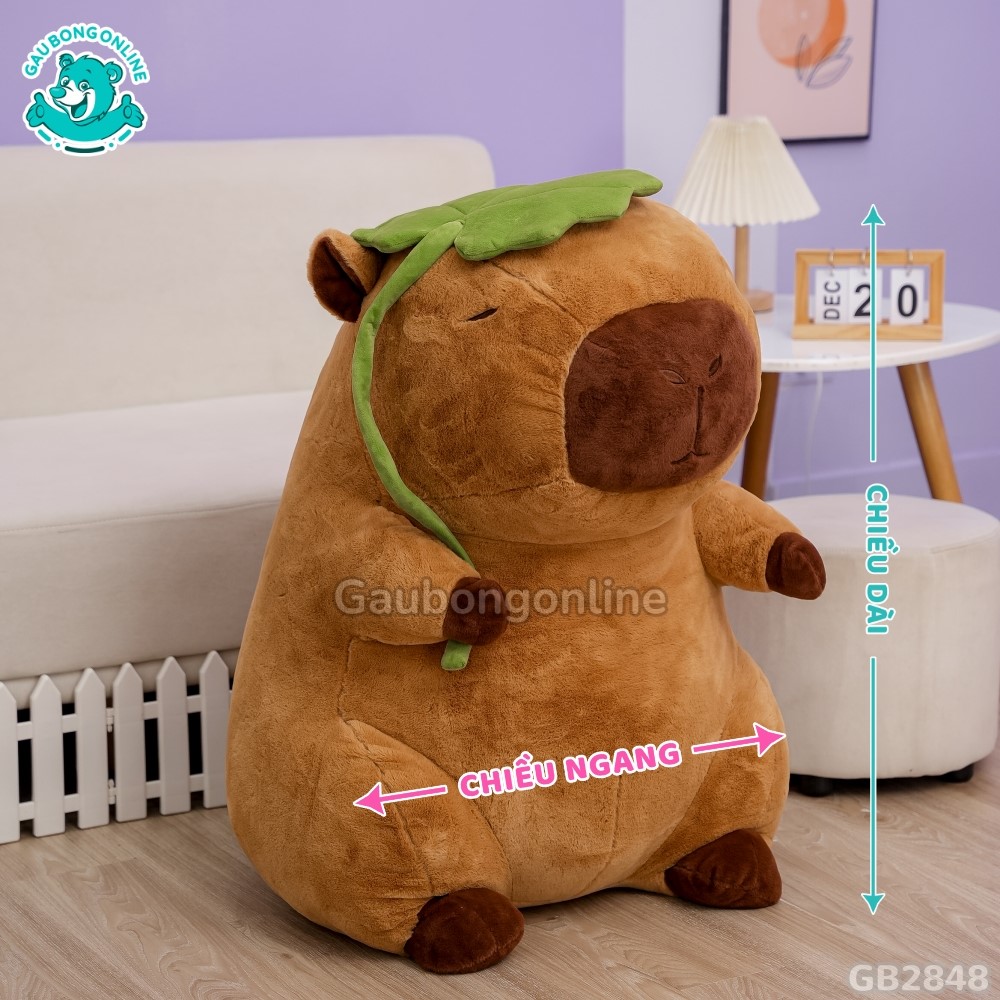 Cách đo kích thước của Capybara Cầm Lá