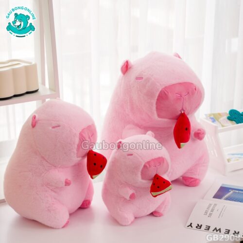 Chuột Capybara Hồng Rút Dưa Hấu đa dạng kích thước