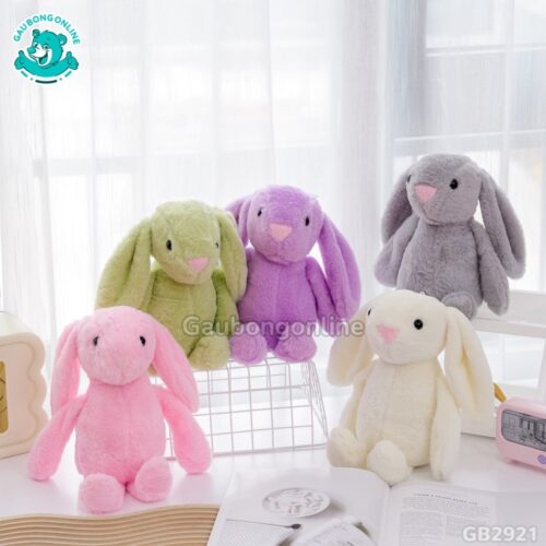 Thỏ Bunny Tai Dài Nhỏ đa dạng màu sắc tươi tắn
