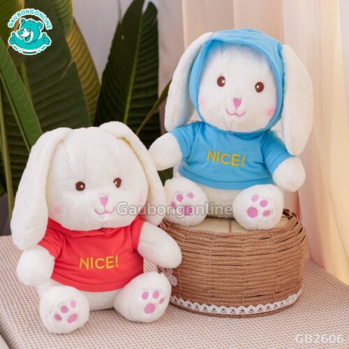 Thỏ Áo Nice đội mũ siêu đáng yêu