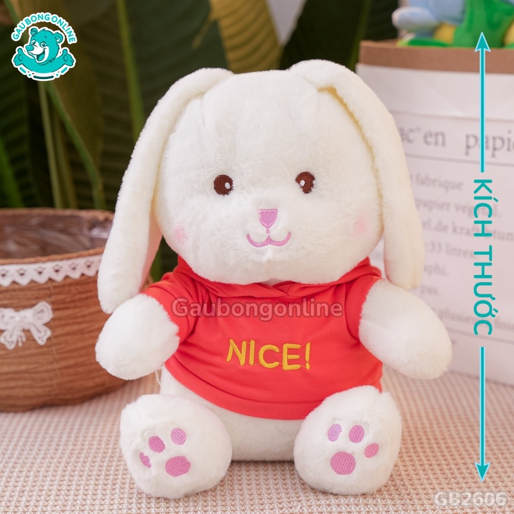 Cách đo kích thước của Thỏ Áo Nice