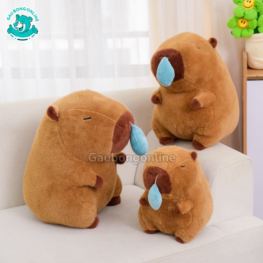 Capybara chảy nước mũi