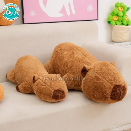 Chuột Capybara Nằm thích hợp làm gối ôm