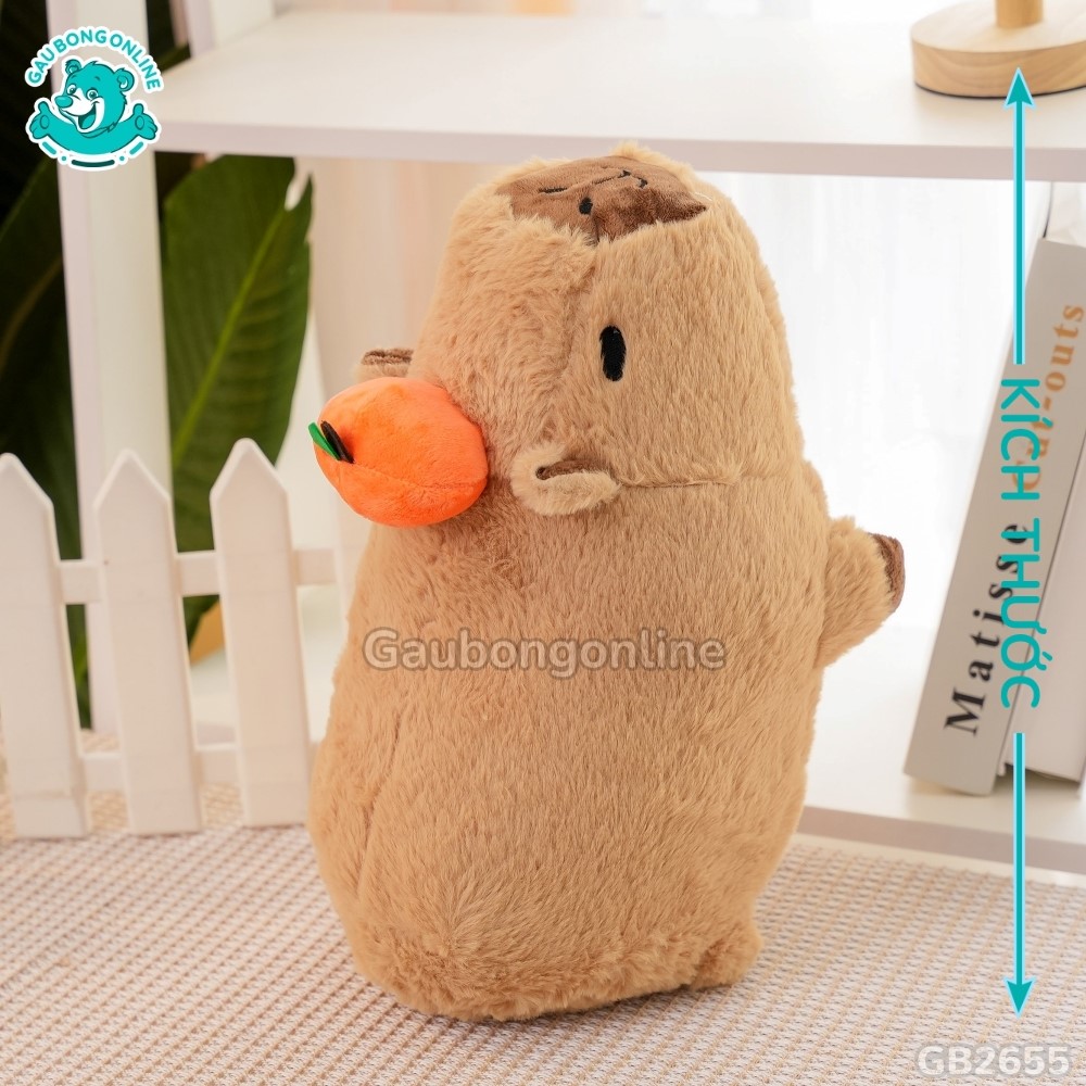 Cách đo kích thước của Capybara Nằm Đội Quả Cam
