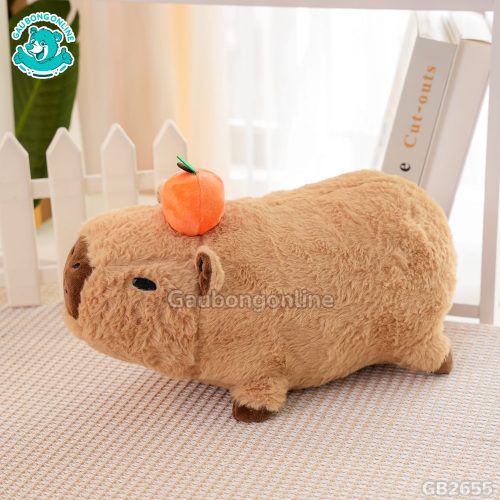 Capybara Nằm Đội Quả Cam