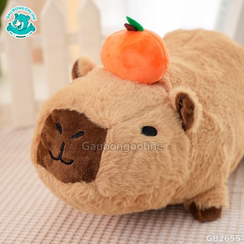 Capybara Nằm Đội Quả Cam