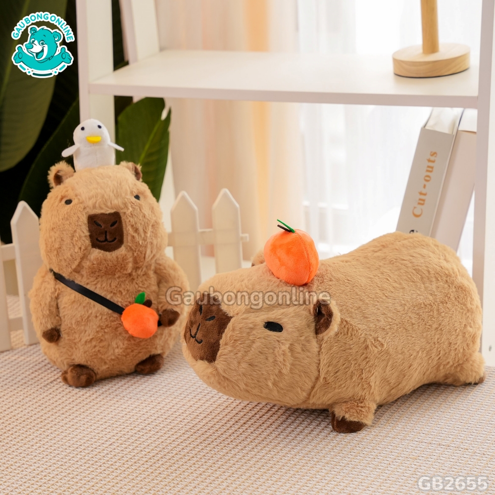 Capybara Nằm Đội Quả Cam