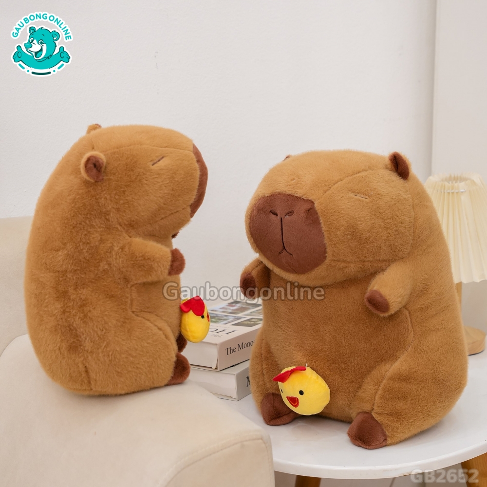 Chuột Capybara Rút Gà ngộ nghĩnh