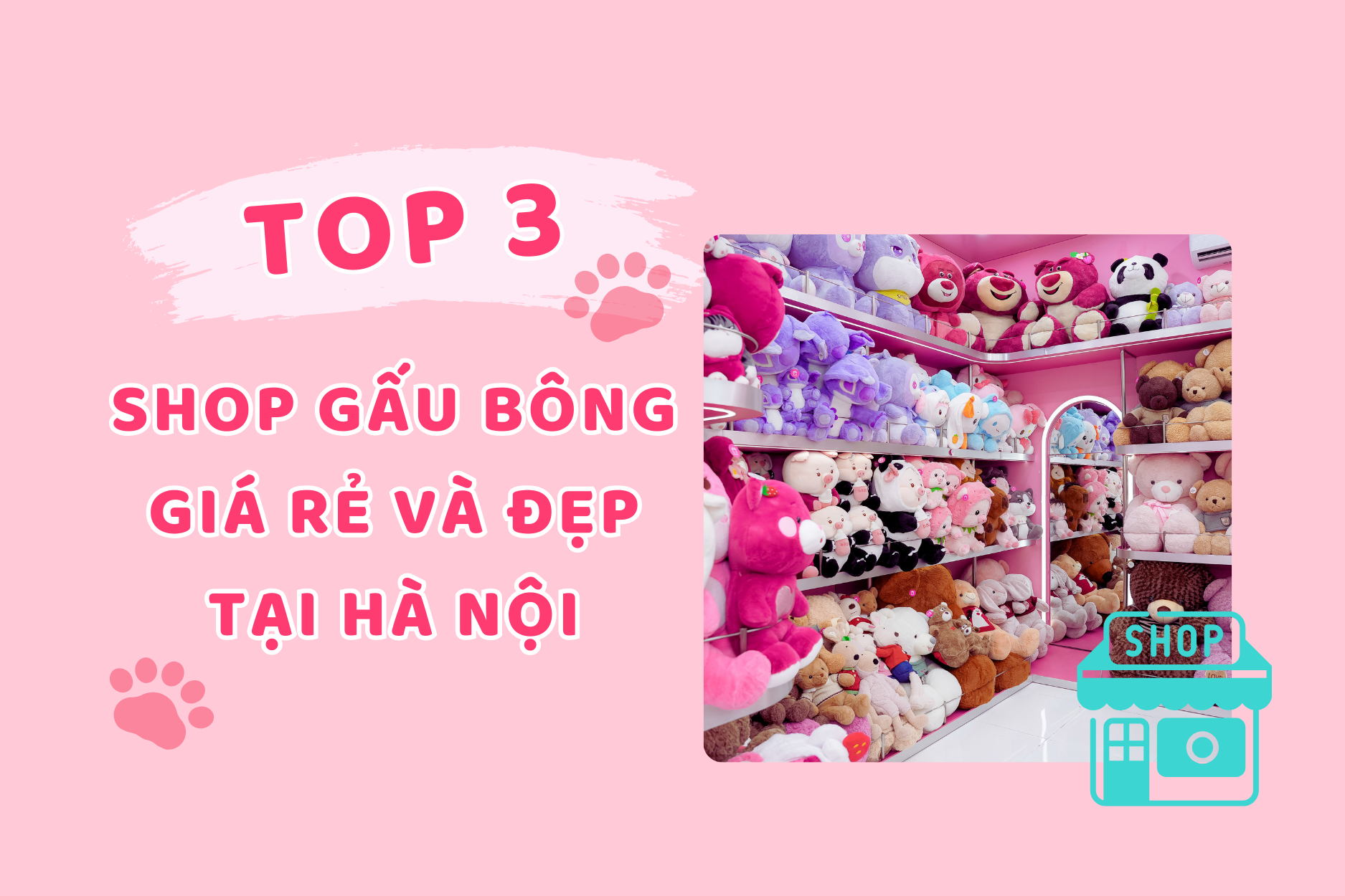 Top 3 shop gấu bông giá rẻ, đẹp nhất tại Hà Nội