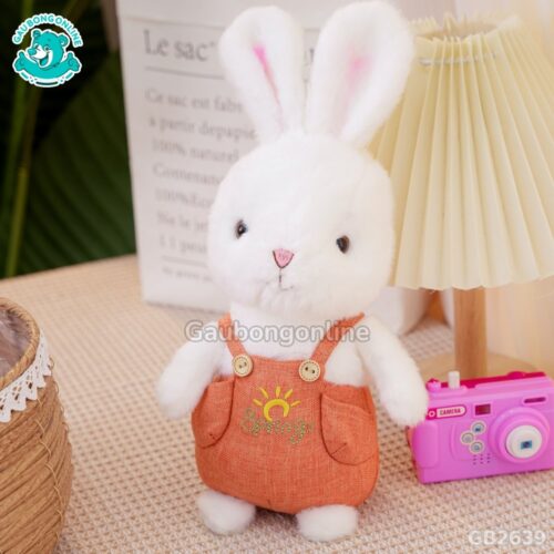Thỏ Trắng Mặc Yếm màu cam