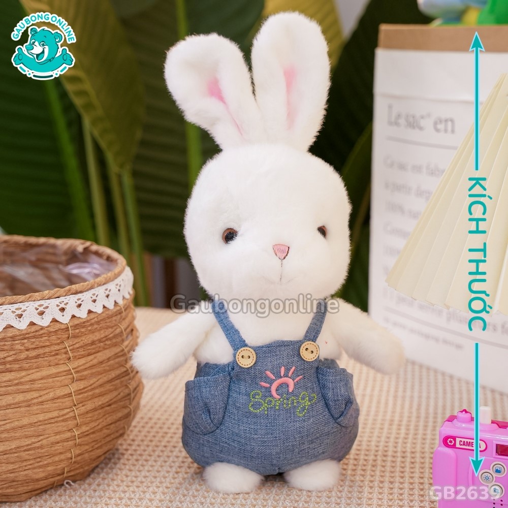 Cách đo kích thước Thỏ Trắng Mặc Yếm