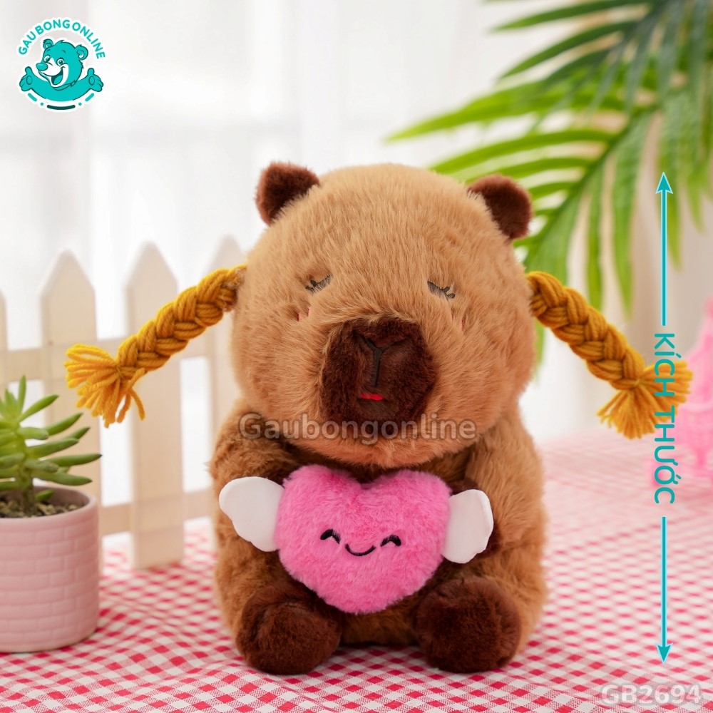 Cách đo kích thước của Chuột Capybara Ôm Tim