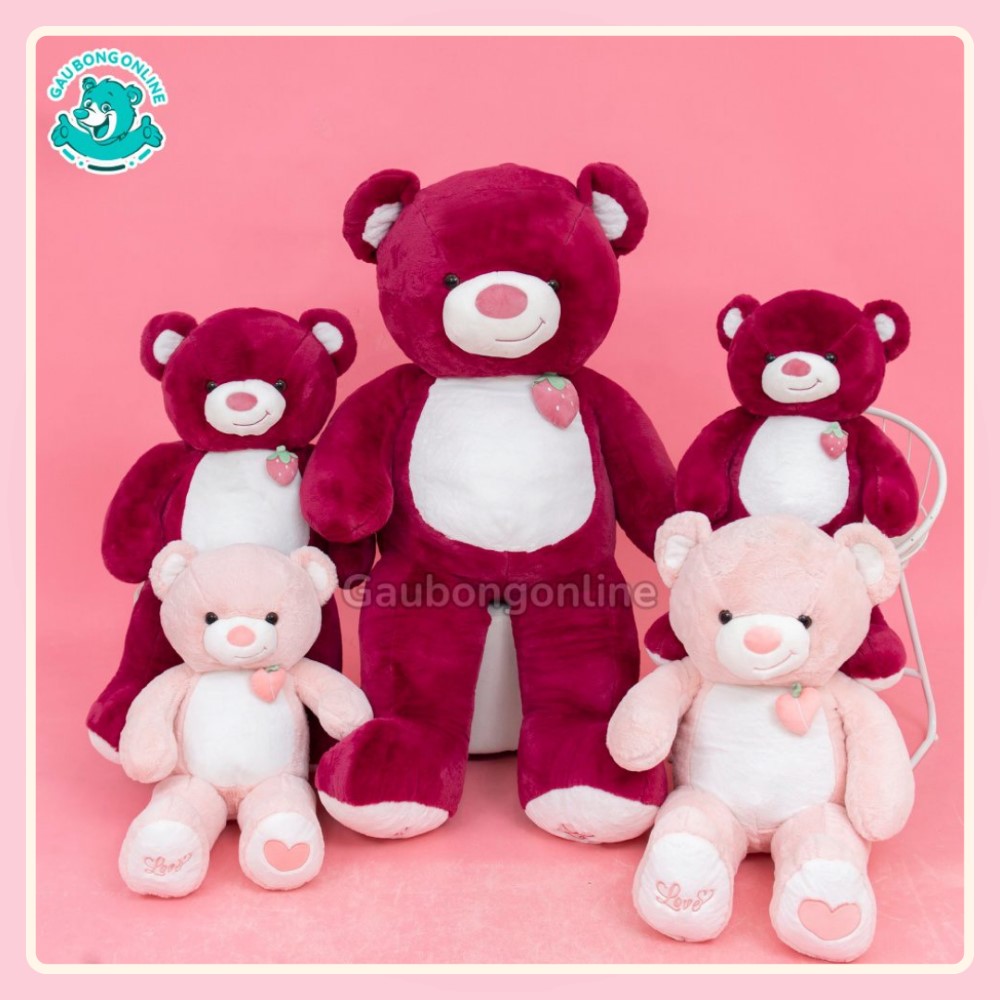 Gấu Bông Teddy Ngực Quả Dâu