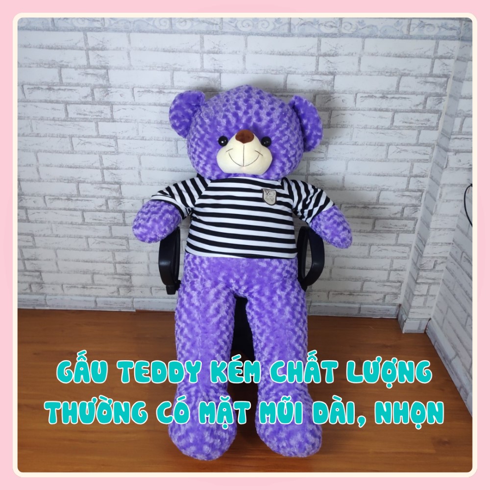 Gấu Teddy kém chất lượng