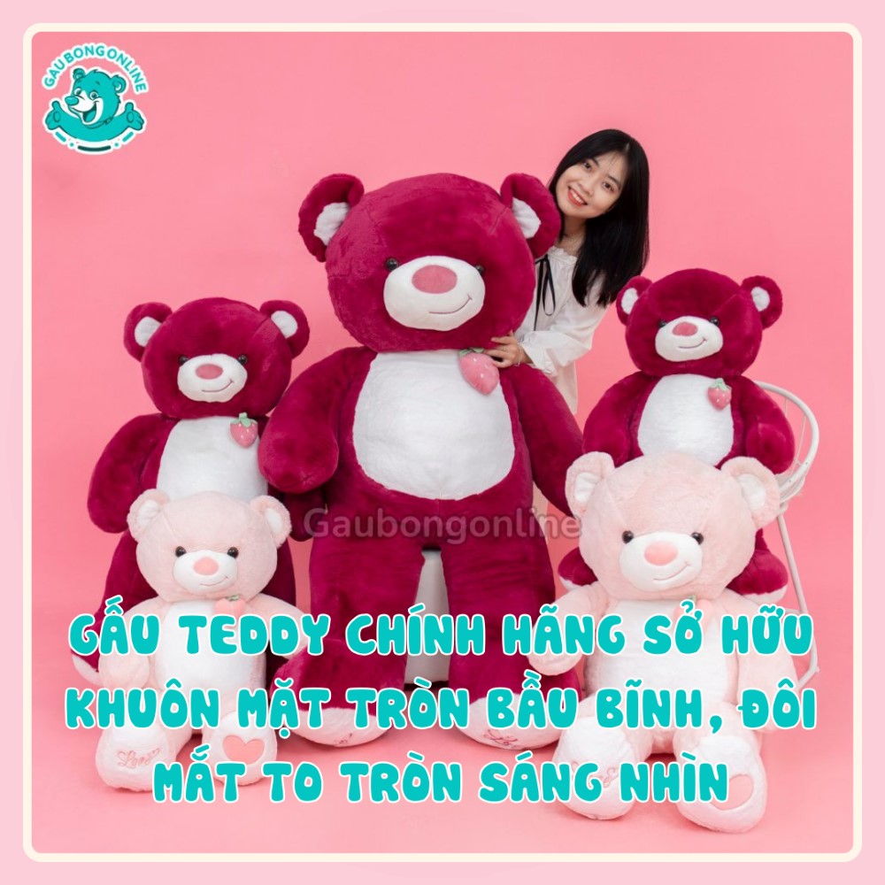 Gấu Teddy cao cấp hàng chính hãng 