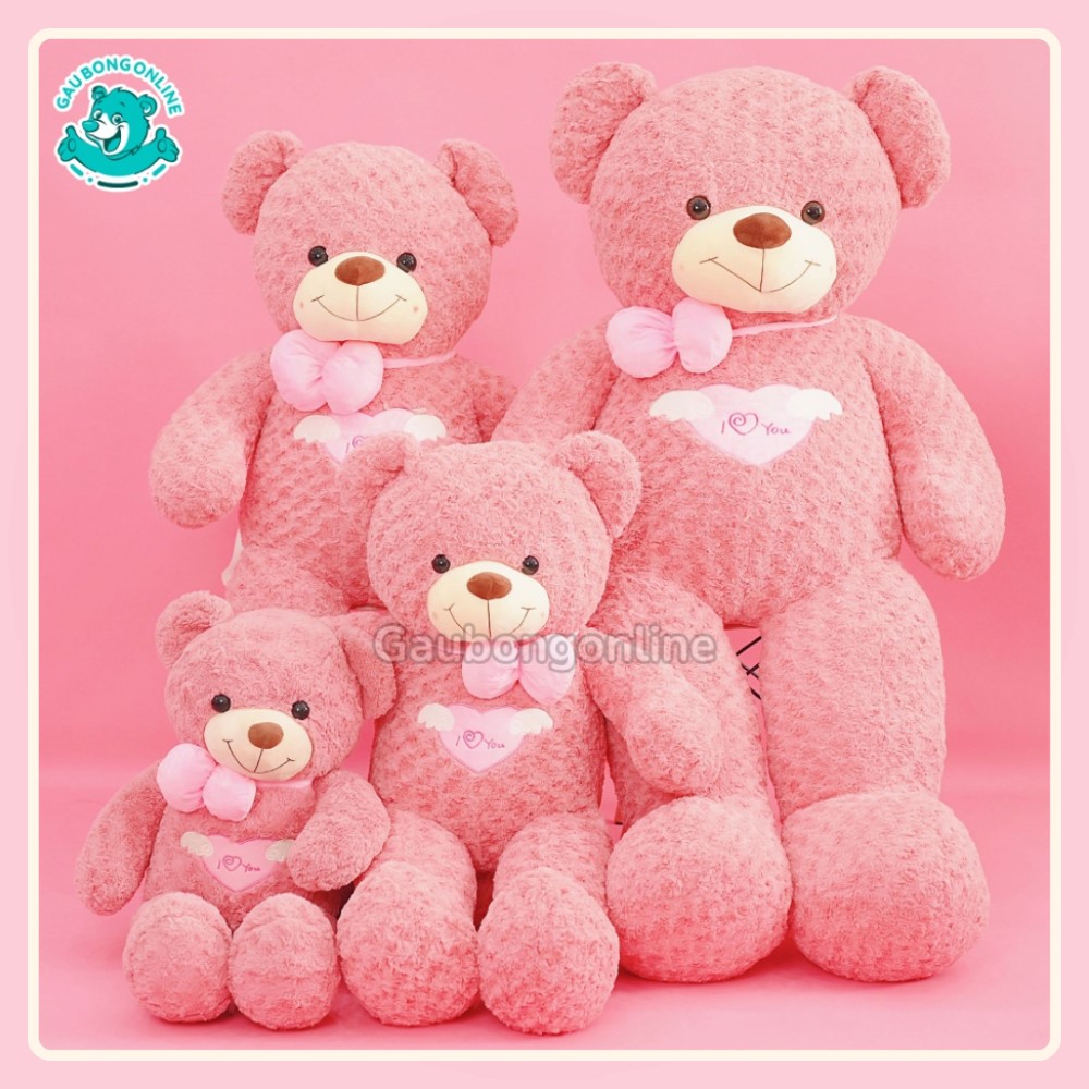 Gấu Bông Teddy Angel 