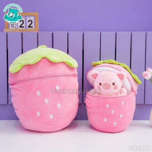 Heo Túi Dâu 2 in 1