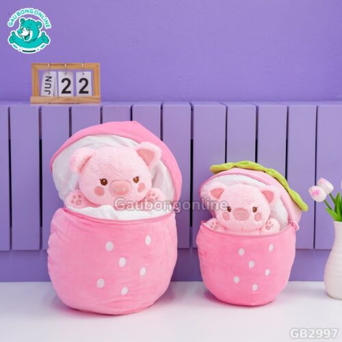 Heo Túi Dâu 2 in 1