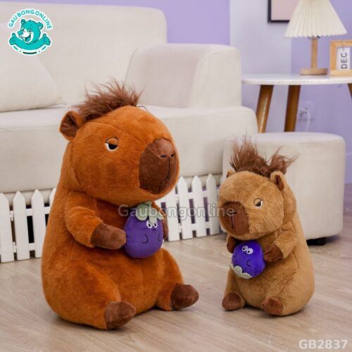 Capybara Có Tóc Ôm Quả dễ thương