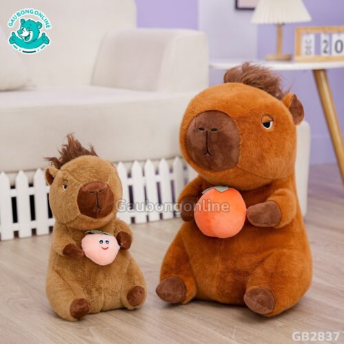 Capybara Có Tóc Ôm Quả dễ thương
